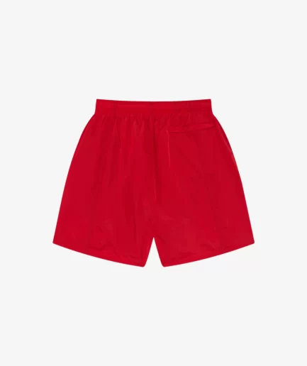 COLE BUXTON INTERNATIONAL SWIM SHORTS